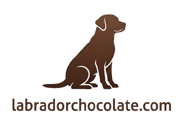 Logo de LabradorChocolate.com